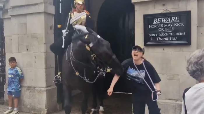 UN CABALLO DE LA GUARDIA REAL BRITÁNICA MORDIÓ POR SORPRESA A UNA TURISTA