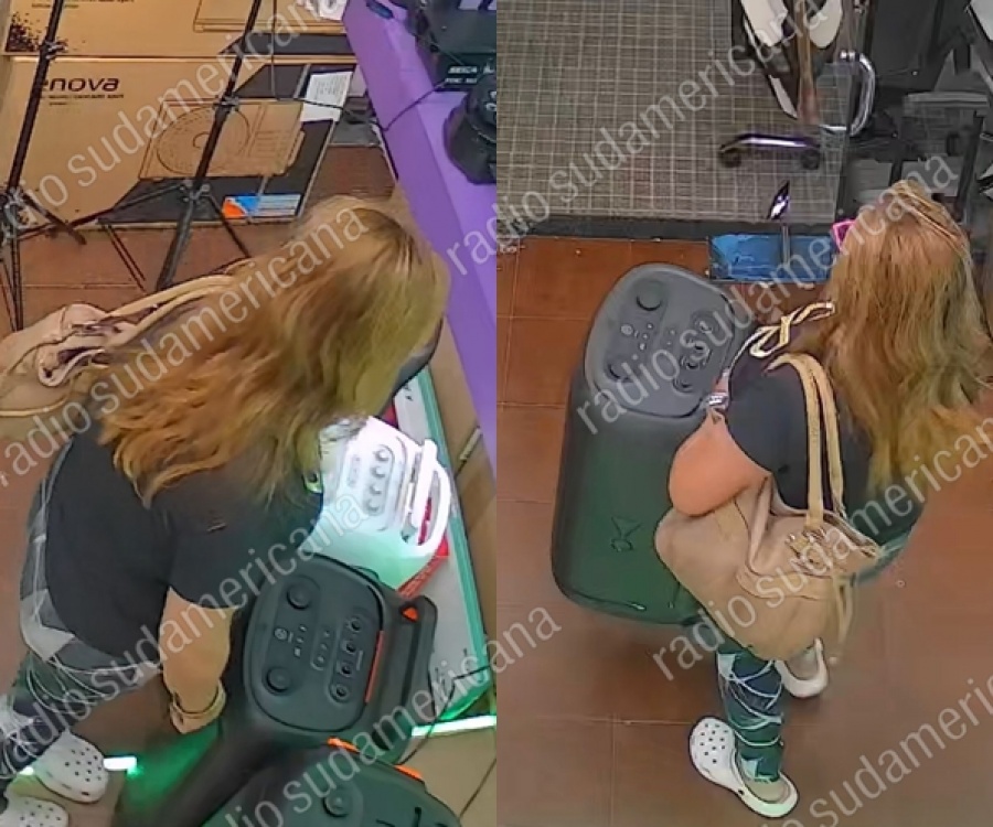 CAPTARON A UNA MECHERA ROBANDO UN PARLANTE DE UN LOCAL CÉNTRICO